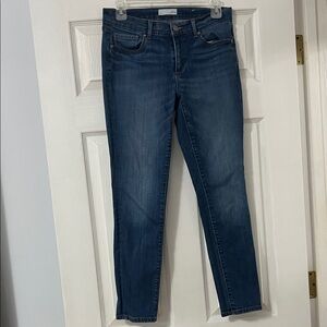 LOFT Dark Blue Skinny Jeans